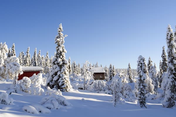 Norefjell / Norway: Dreamy winter landscape