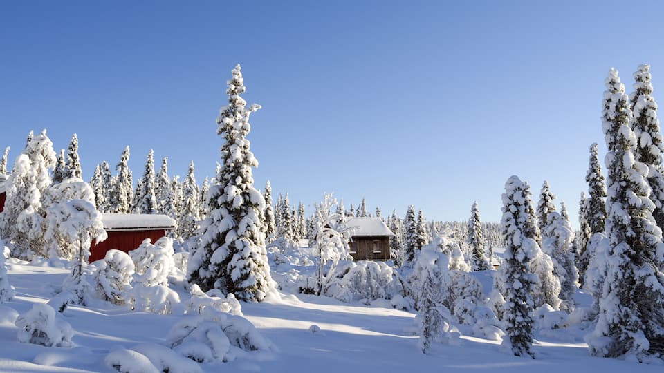 Norefjell / Norway: Dreamy winter landscape