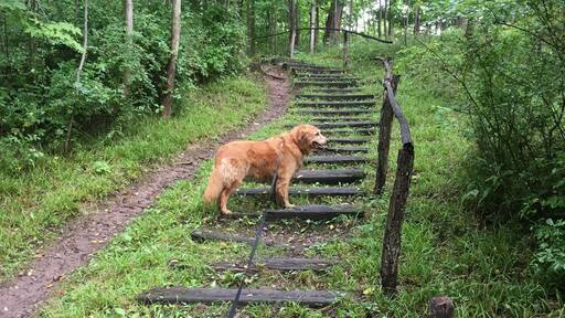 My little Lu together on a little adventure through a local park
#Adventure