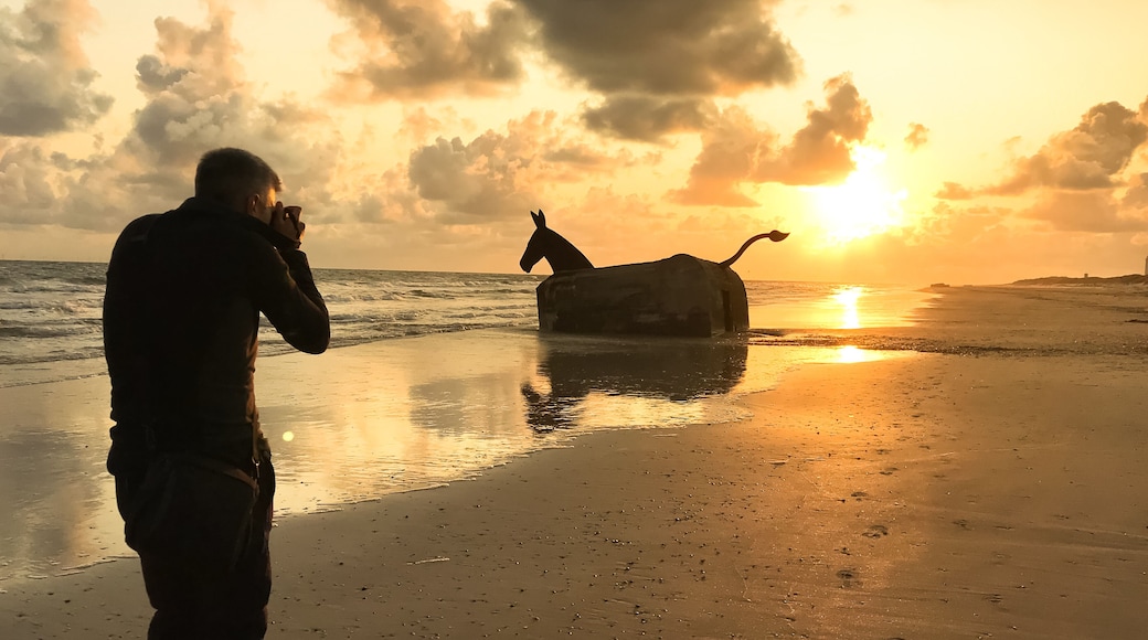 Man taking a photograph of a WWII bunker turned into a sculpture of a mule at sunset on the beach in Blavand, Denmark