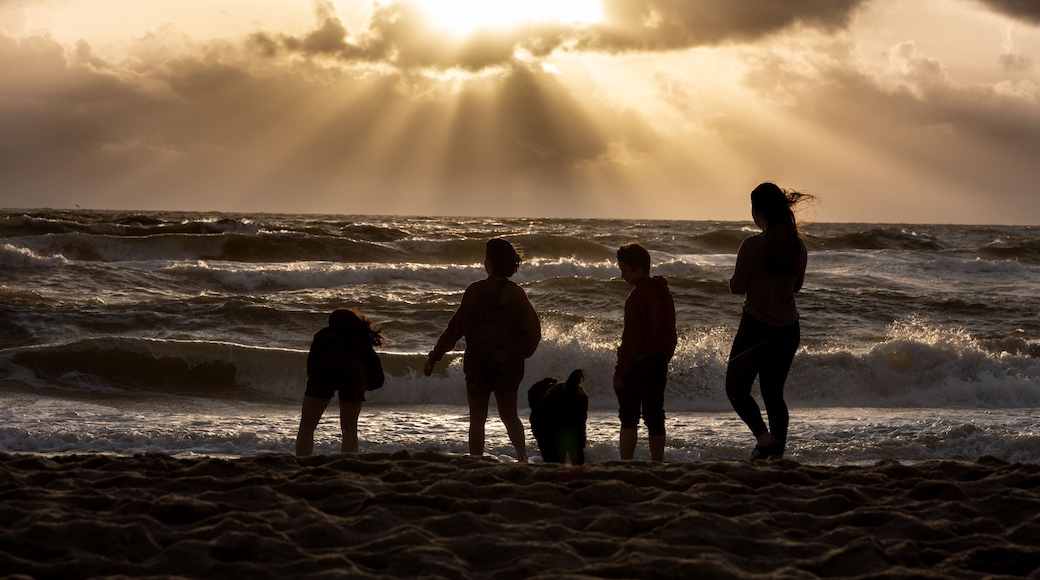 silhouettes of four teenagers and a dog on the beach of Jutland, Denmark. Looking into the wild surf of the ocean, sunset sky with sun rays through the clouds
