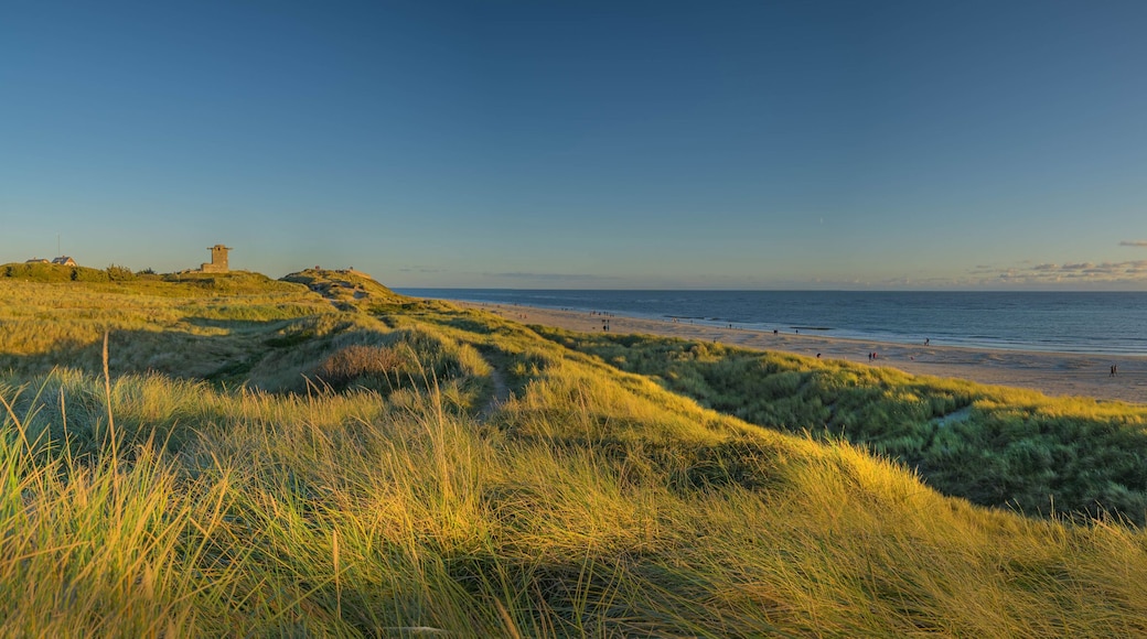 Sunset over dunes. Panoramic view of Blåvand lighthouse on wide dune of Blåvandshuk with beach view on the west coast of Jutland, by Esbjerg, Denmark.