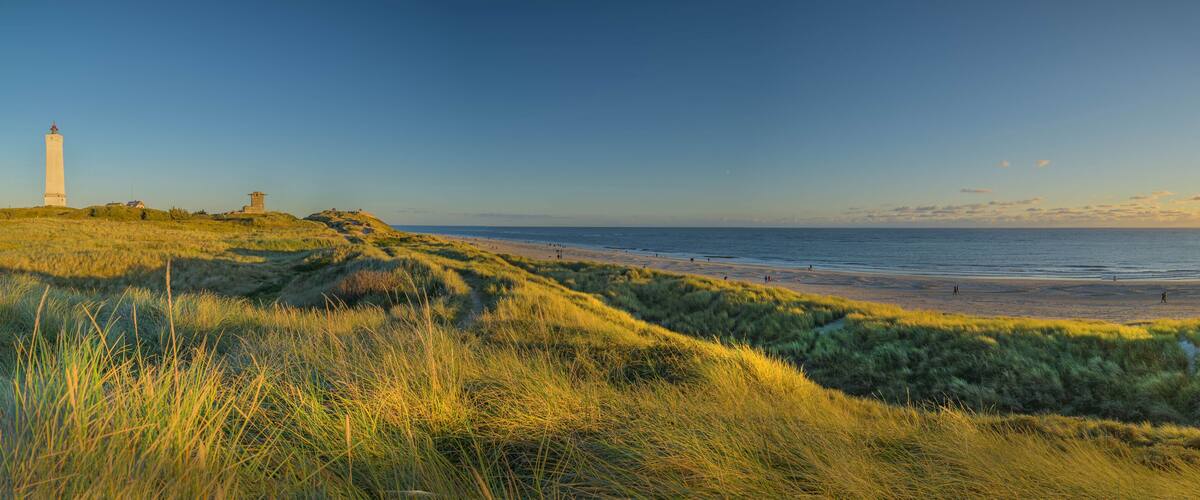 A coastal landscape with a lighthouse, grassy dunes, and a beach.