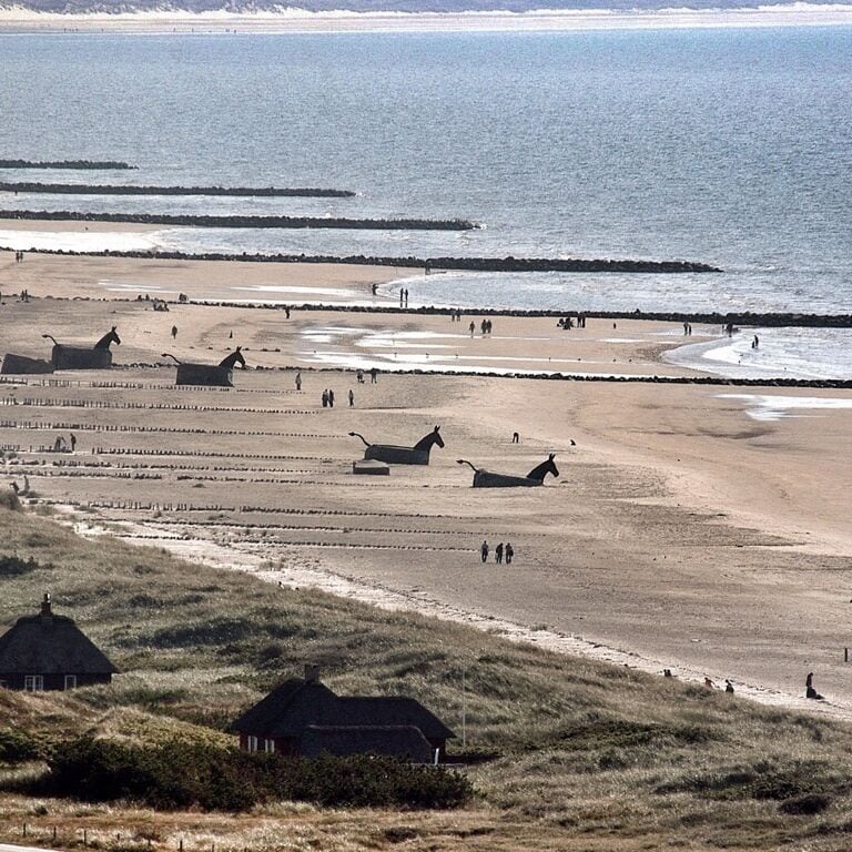 Blaavand, between Blaavand and Skallingen, famous bunker horses. 