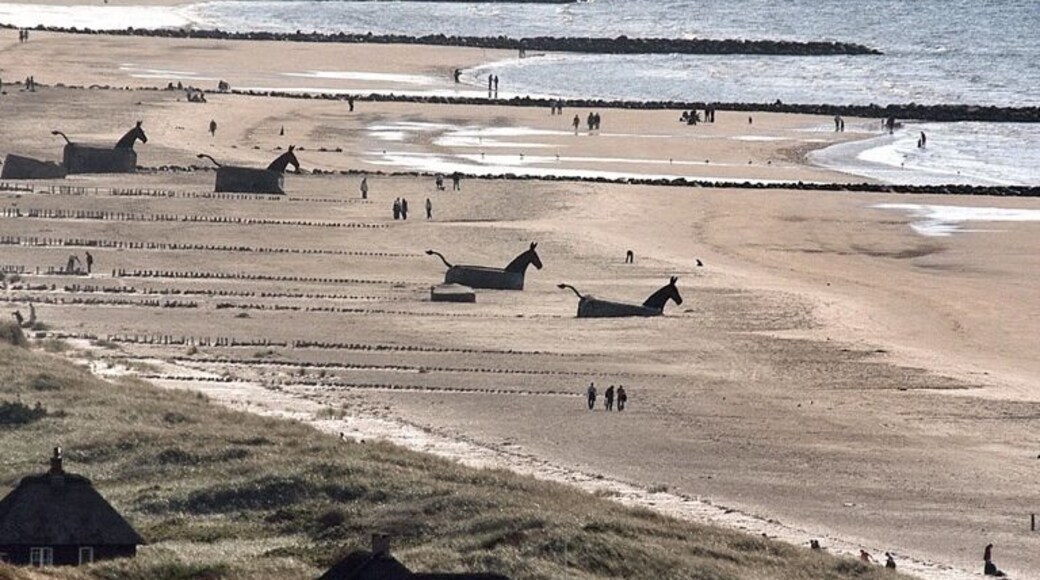 Blaavand, between Blaavand and Skallingen, famous bunker horses.