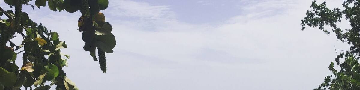 Sandals Whitehouse Resort in Jamaica. This place is amazing!!! Can't wait to go back.