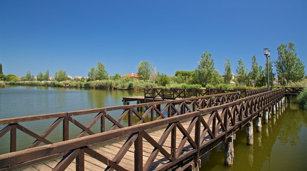 Bellaria-Igea Marina fasiliteter samt elv eller bekk og bro