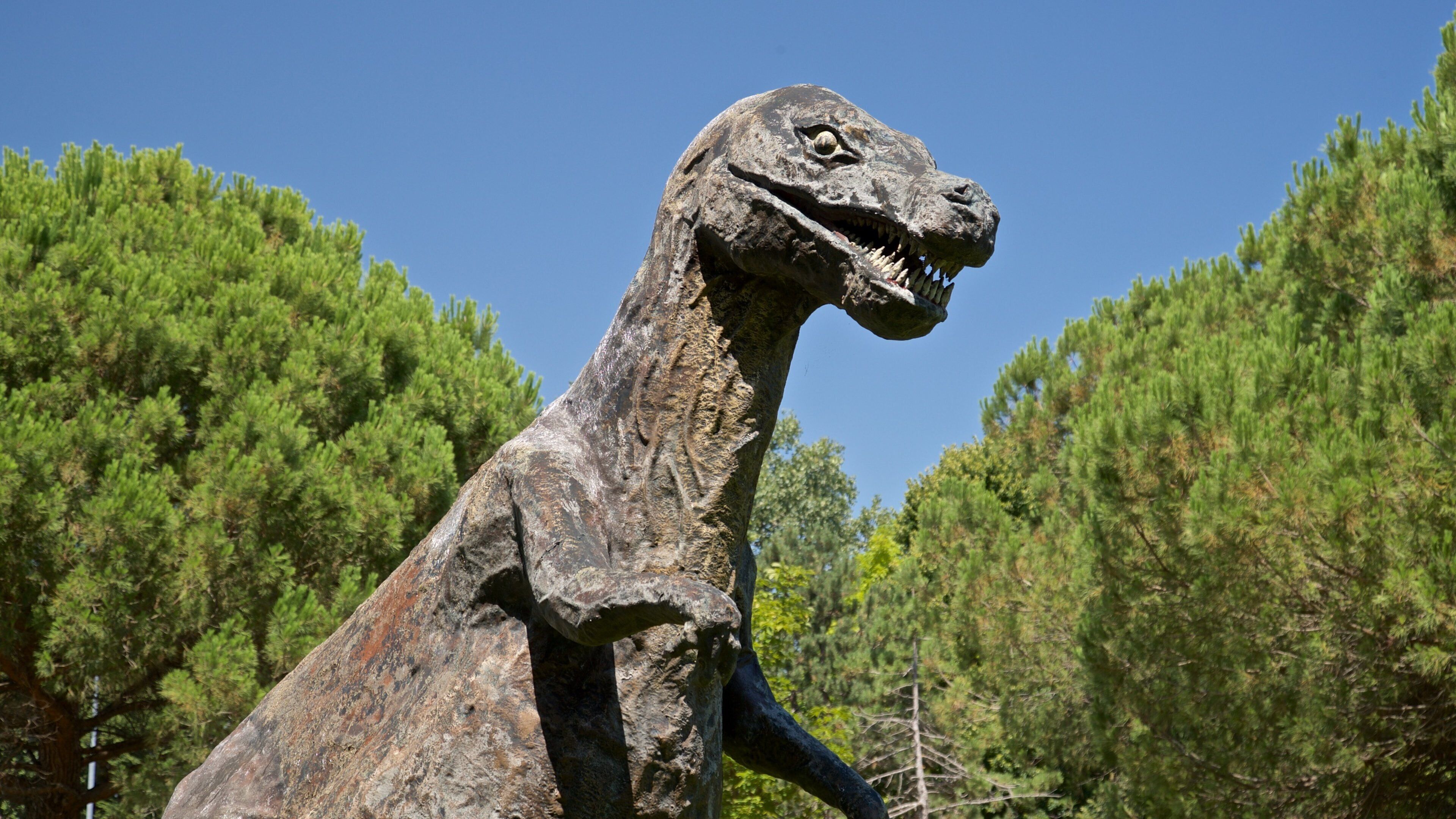 Parco del Gelso qui includes jardin et art en plein air