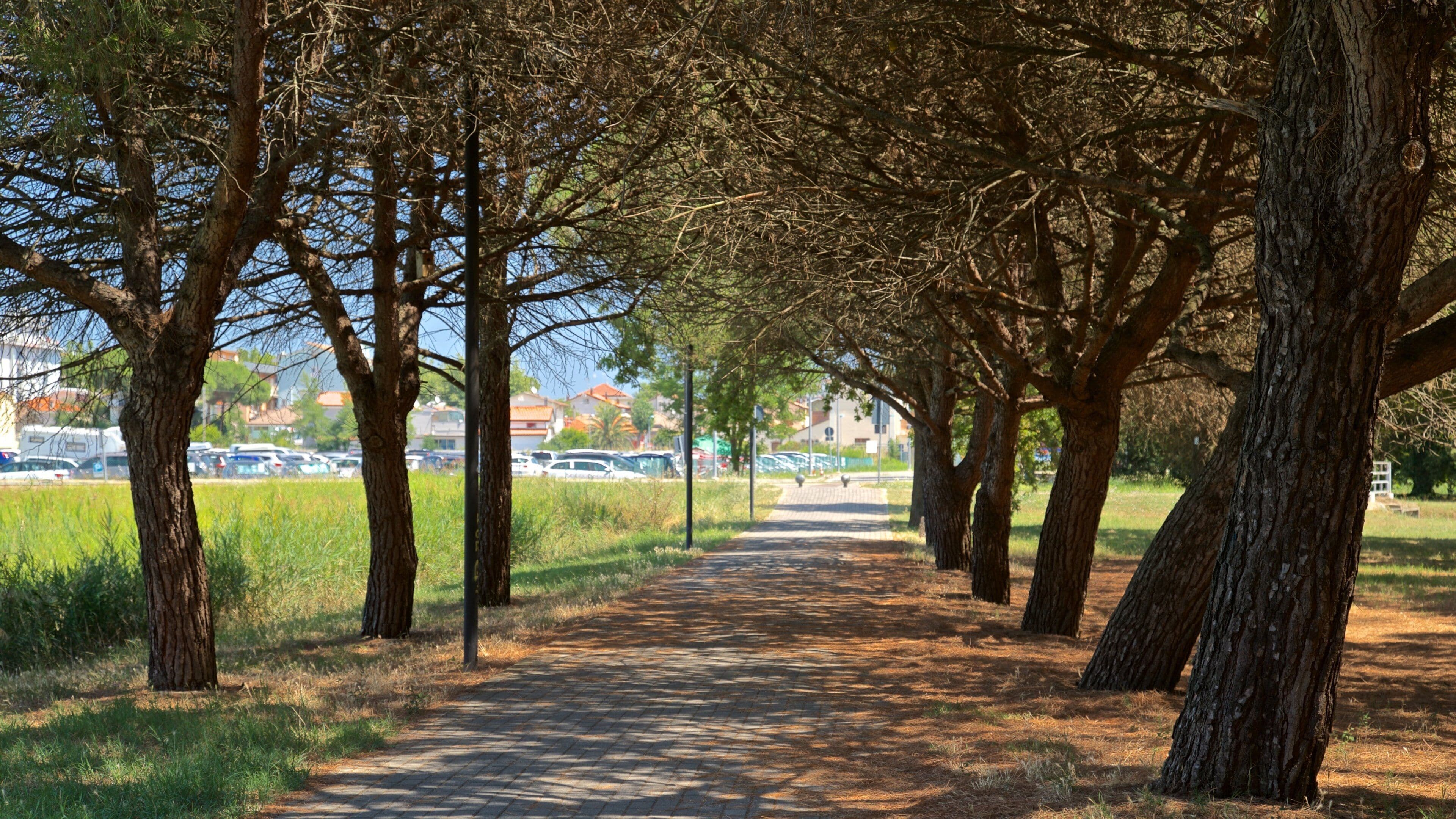 Bellaria-Igea Marina