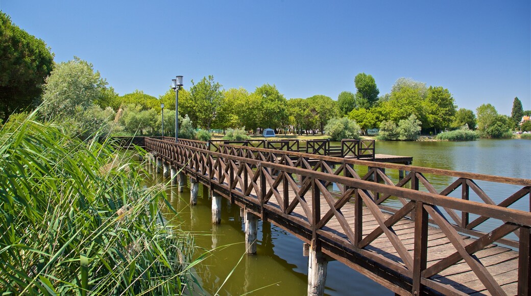 Bellaria-Igea Marina