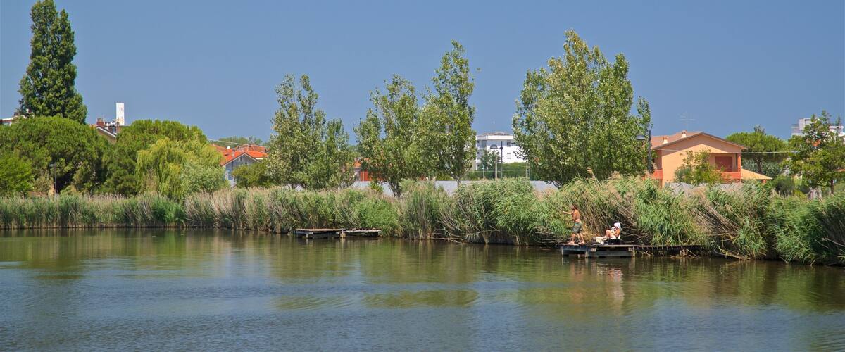 Parco del Gelso showing a lake or waterhole
