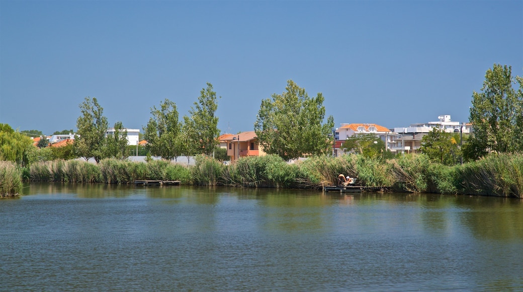 Parco del Gelso featuring a lake or waterhole