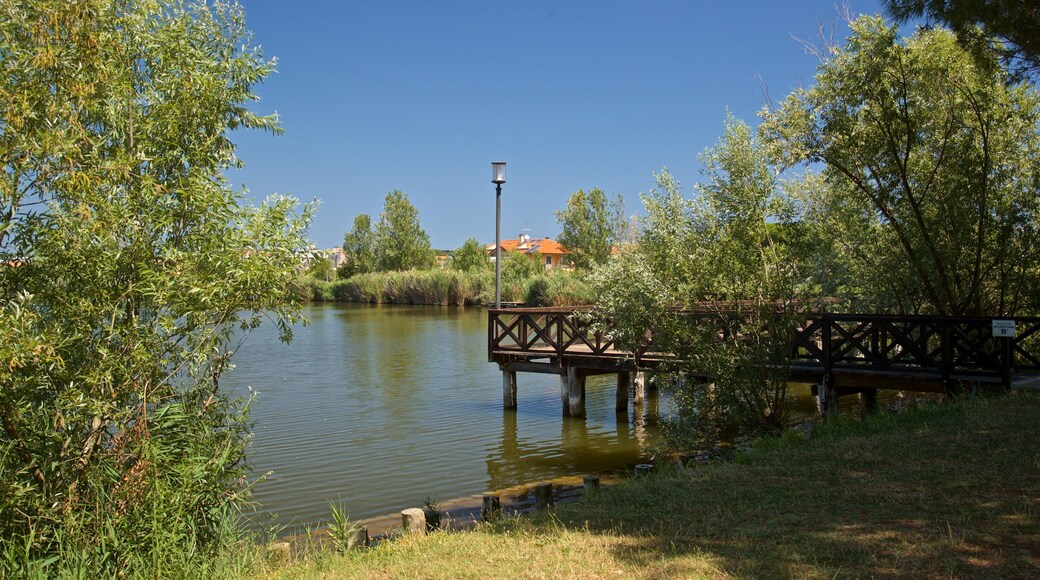 Parco del Gelso featuring a lake or waterhole