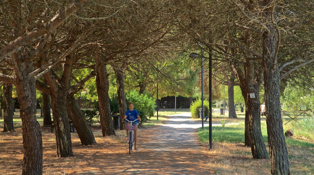 Parco del Gelso featuring a park and cycling