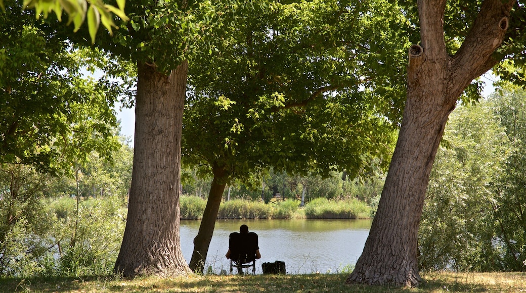 Parco del Gelso which includes a garden and a pond