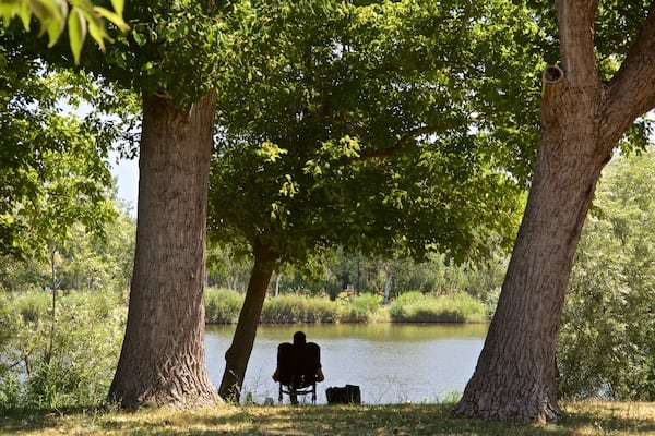 Parco del Gelso which includes a garden and a pond