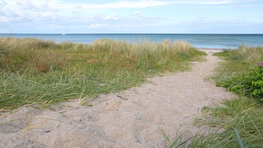Um caminho de areia que leva ao oceano, com dunas gramadas em ambos os lados.