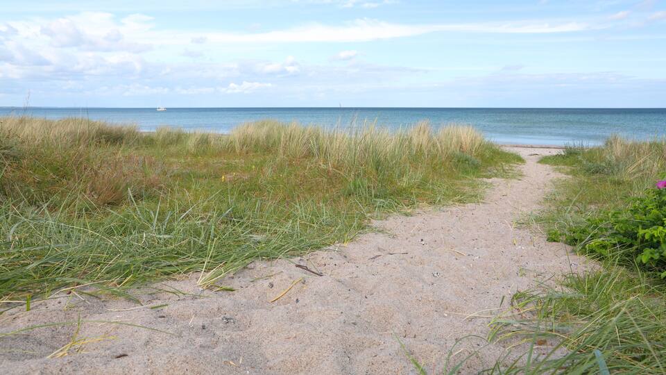 A sandy path leading to the ocean with grassy dunes on either side.