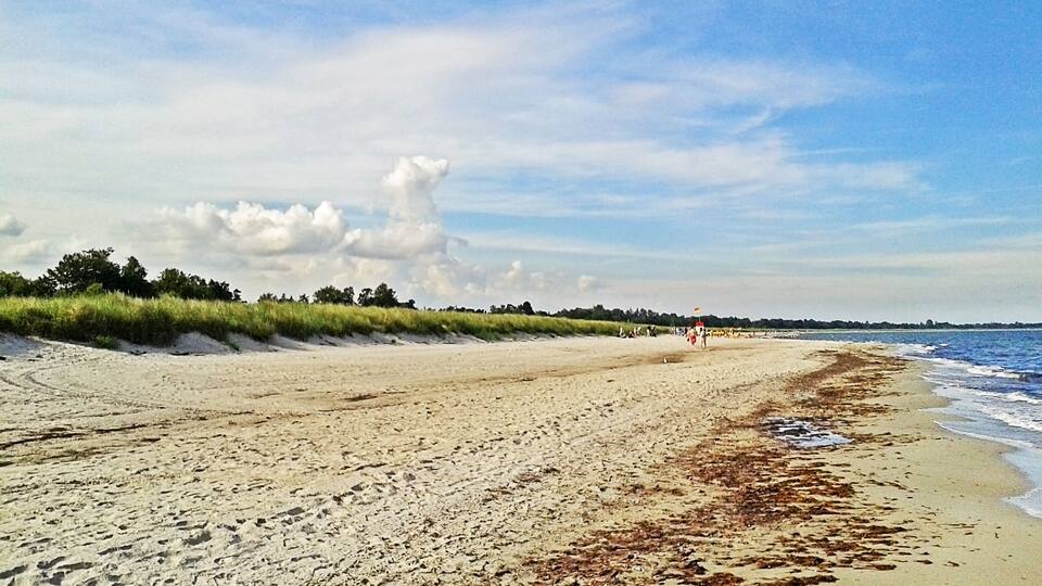 A sandy beach with seaweed, grassy dunes, and a distant shoreline.