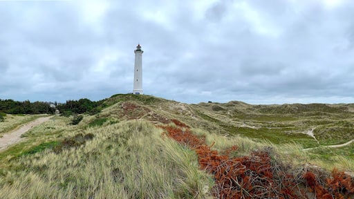 white lighthouse Lyngvig Fyr in a beautiful dune landscape with a sandy trail at a cloudy day, Panorama, Hvide Sande, Søndervig, Ringkøbing, Denmark