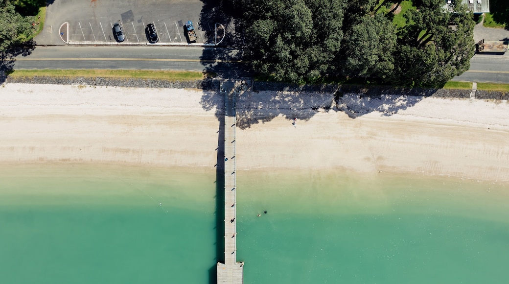 A wooden pier extending into a turquoise body of water, surrounded by a sandy beach and dense greenery.