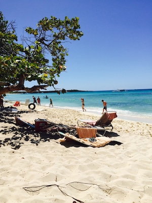 Secluded Island, off of the coast of the Dominican Republic.