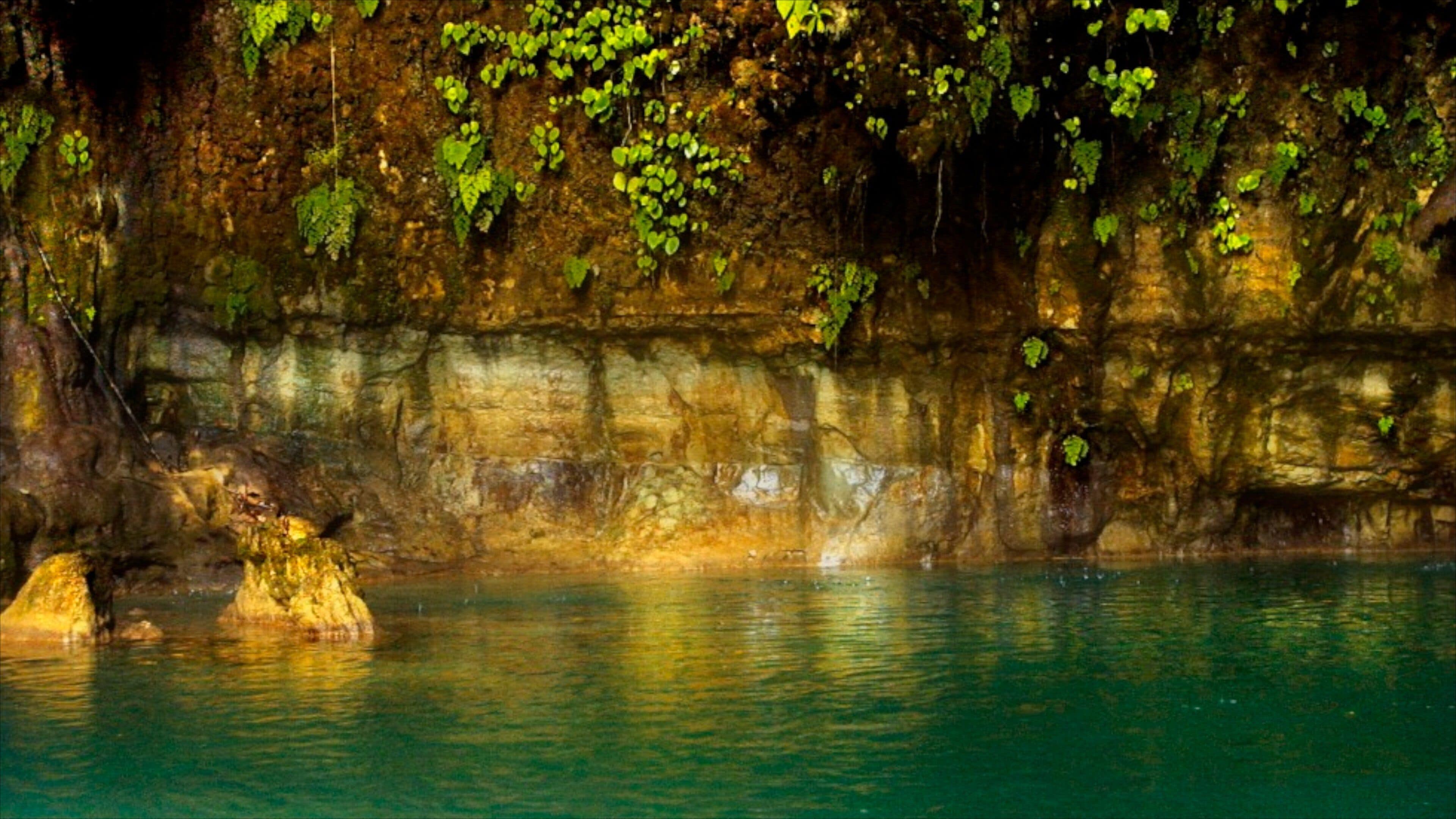 A cave entrance with water and green foliage.