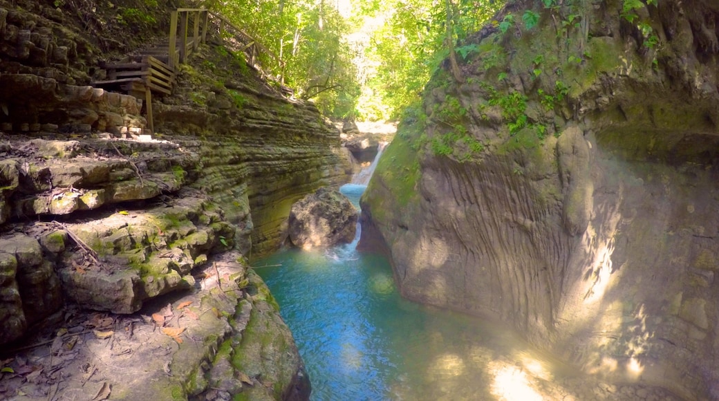 27 Charcos de Damajagua mostrando un río o arroyo