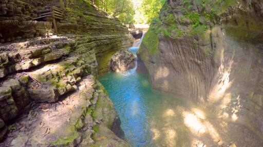 27 Charcos, Damajaqua Cascades som inkluderar en Ă„ eller flod och en ravin eller kanjon