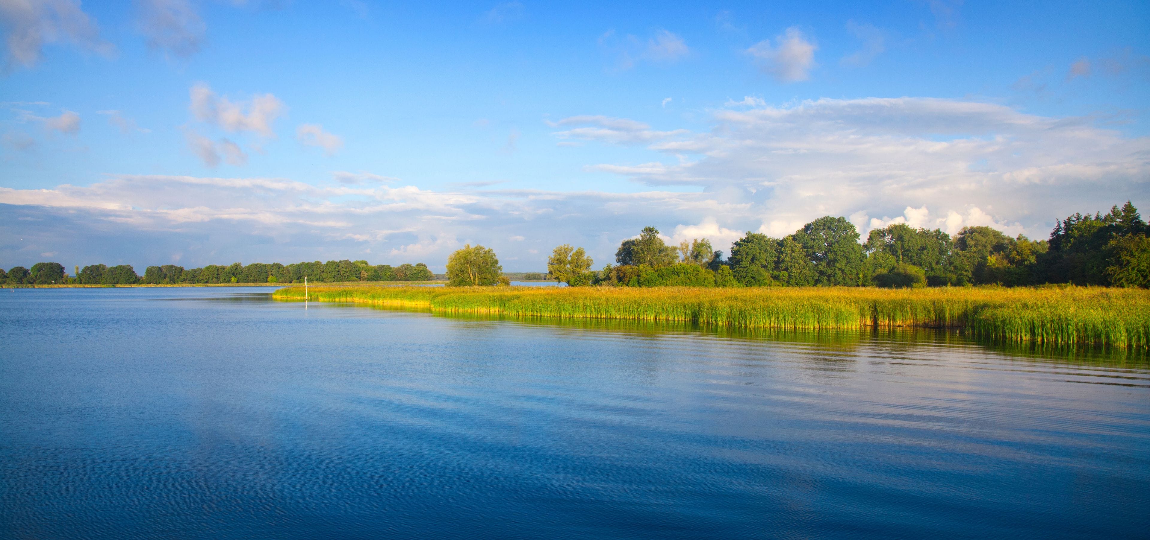 A calm lake with a grassy bank and trees in the background.