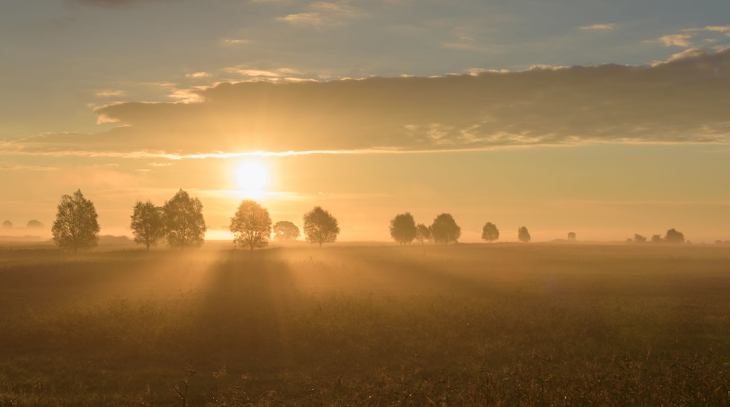 A sunrise over a field with trees and a clear sky.