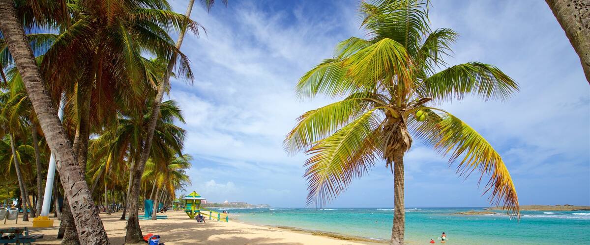 Escambron Beach showing general coastal views, a sandy beach and tropical scenes