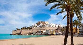 Un paysage urbain côtier avec un fort imposant, des palmiers et une plage.