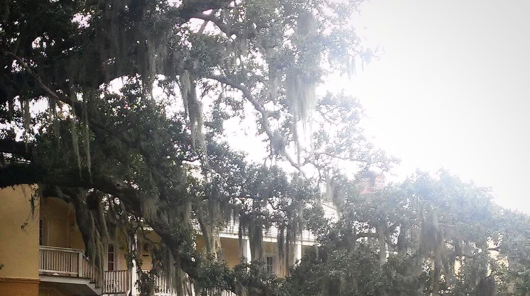 A beautiful plantation to go and see along River Road in Destrehan , La . part of the "Mile of History " .