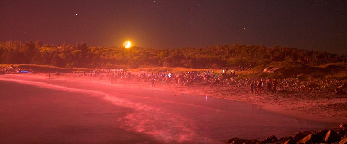 Crystal Crescent Beach showing night scenes, a sandy beach and rocky coastline