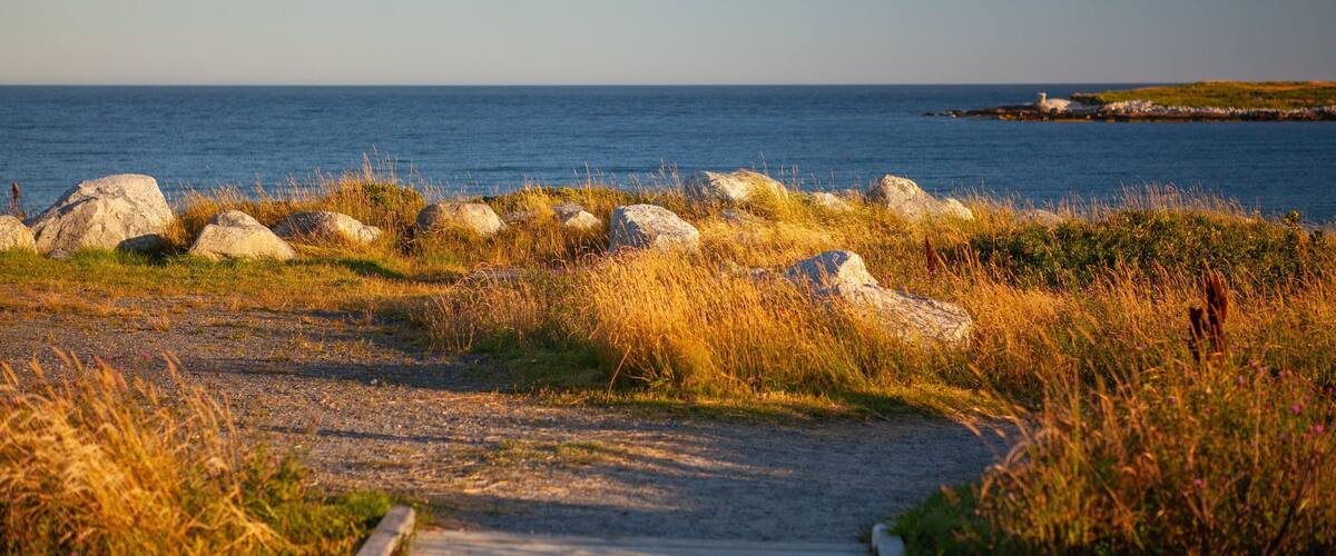 A coastal path with large rocks and grassy areas leading to the sea.