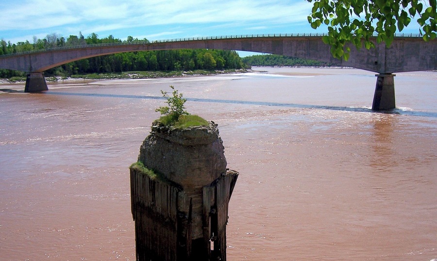 The Shubenacadie River is a river in Nova Scotia, Canada. It has a meander length of approximately 72 km from its source at Shubenacadie Grand Lake to its mouth at the historic seaport village of Maitland on Cobequid Bay, site of the building of the William D. Lawrence, the largest wooden ship ever built in Canada. The lower 30 km of the river (from the point where the Stewiacke River meets to the mouth) is tidal and the river experiences a tidal bore twice daily, with some bores reaching up to 3 m in height at certain points along the river. (June 2007)
#OnTheRoad