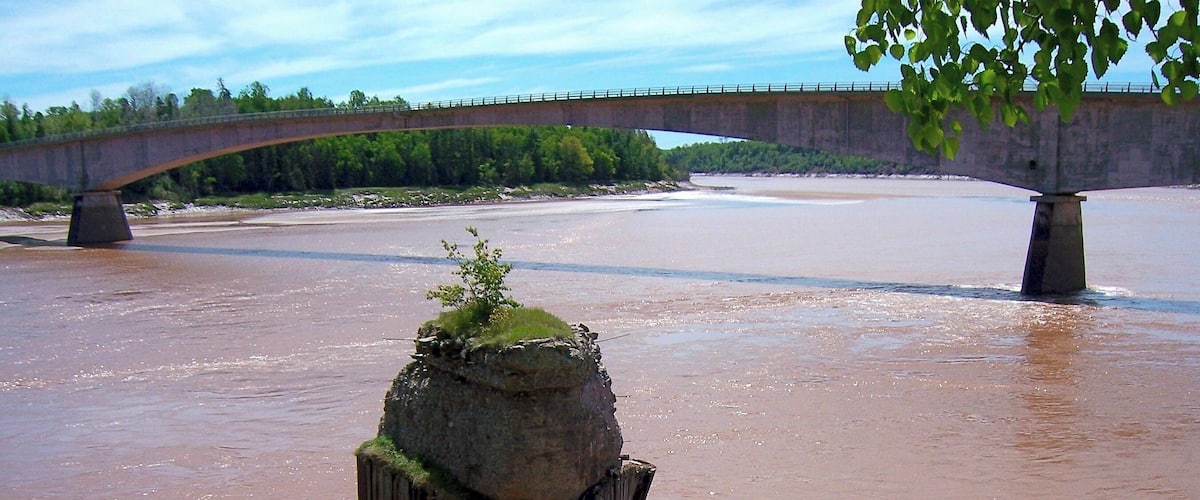 A river with a bridge and a wooden post with moss.