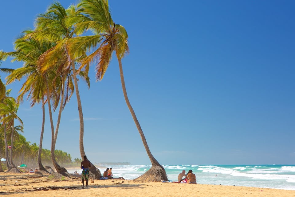 Una playa con palmeras, gente relajándose y el océano.