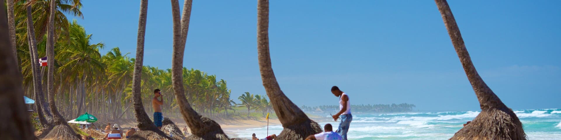 A beach with palm trees, people relaxing, and the ocean in the background.