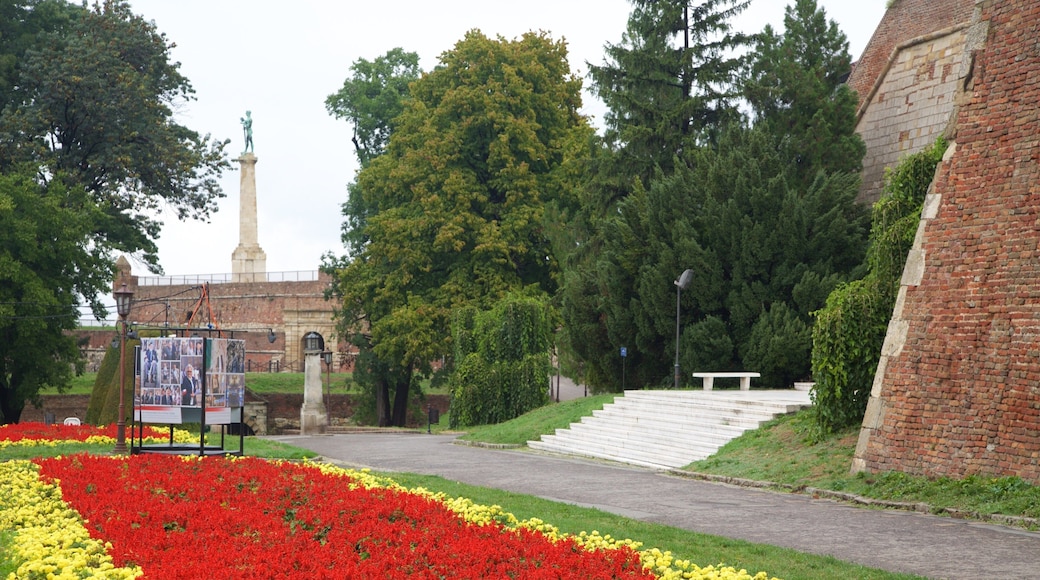 Kalemegdan Park showing flowers, heritage elements and a park