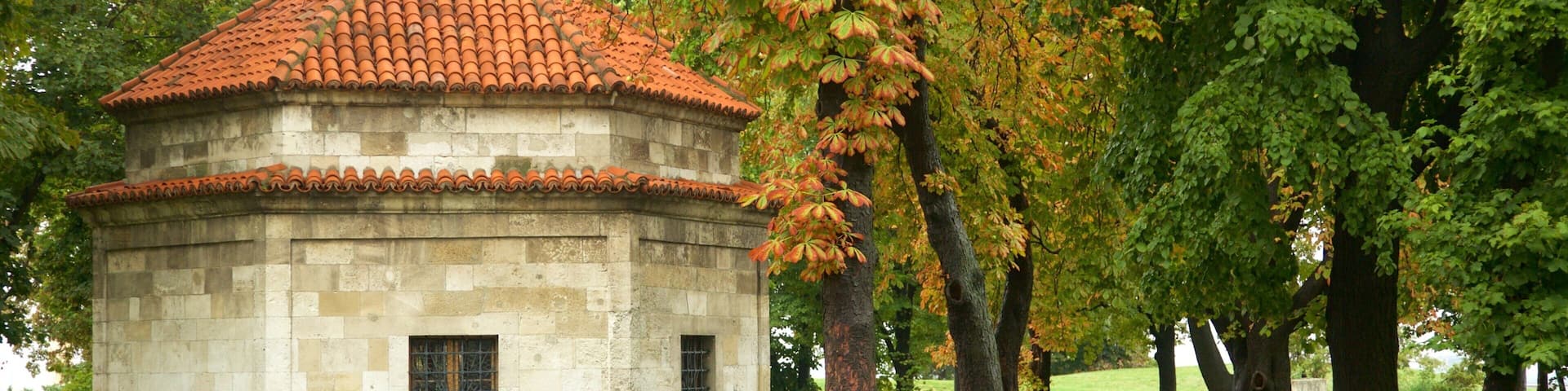 Kalemegdan Park showing fall colors and a park