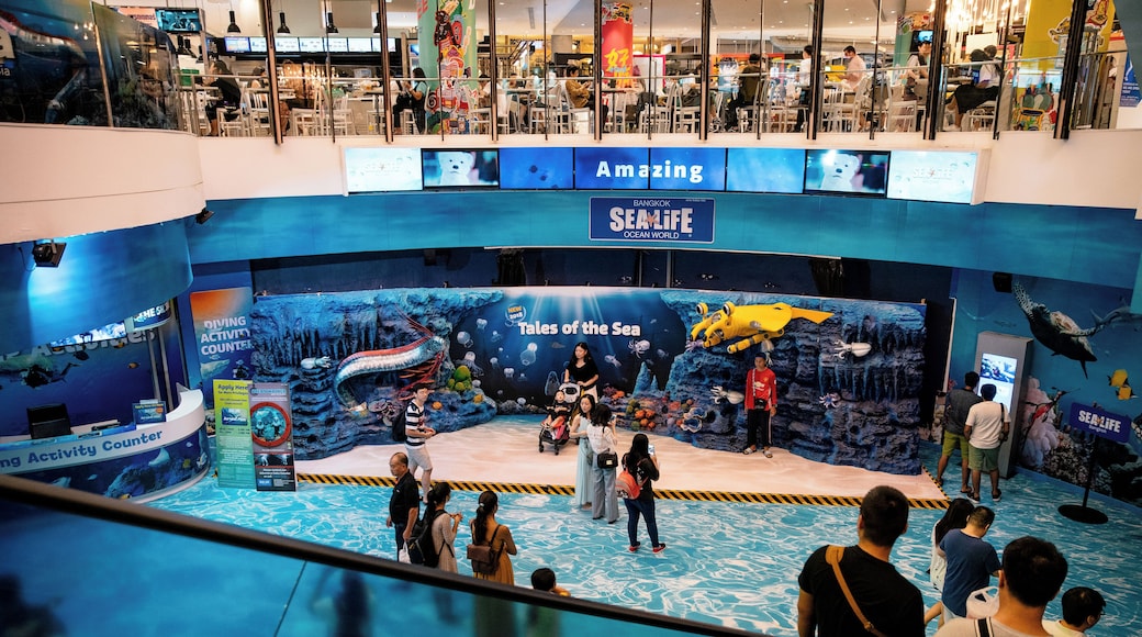 Bangkok_SeaLifeBangkokOceanWorld_6227553_16