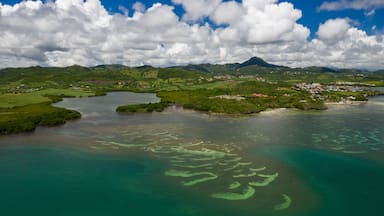 A coastal landscape with a bay, clear waters, and a mountain in the distance.