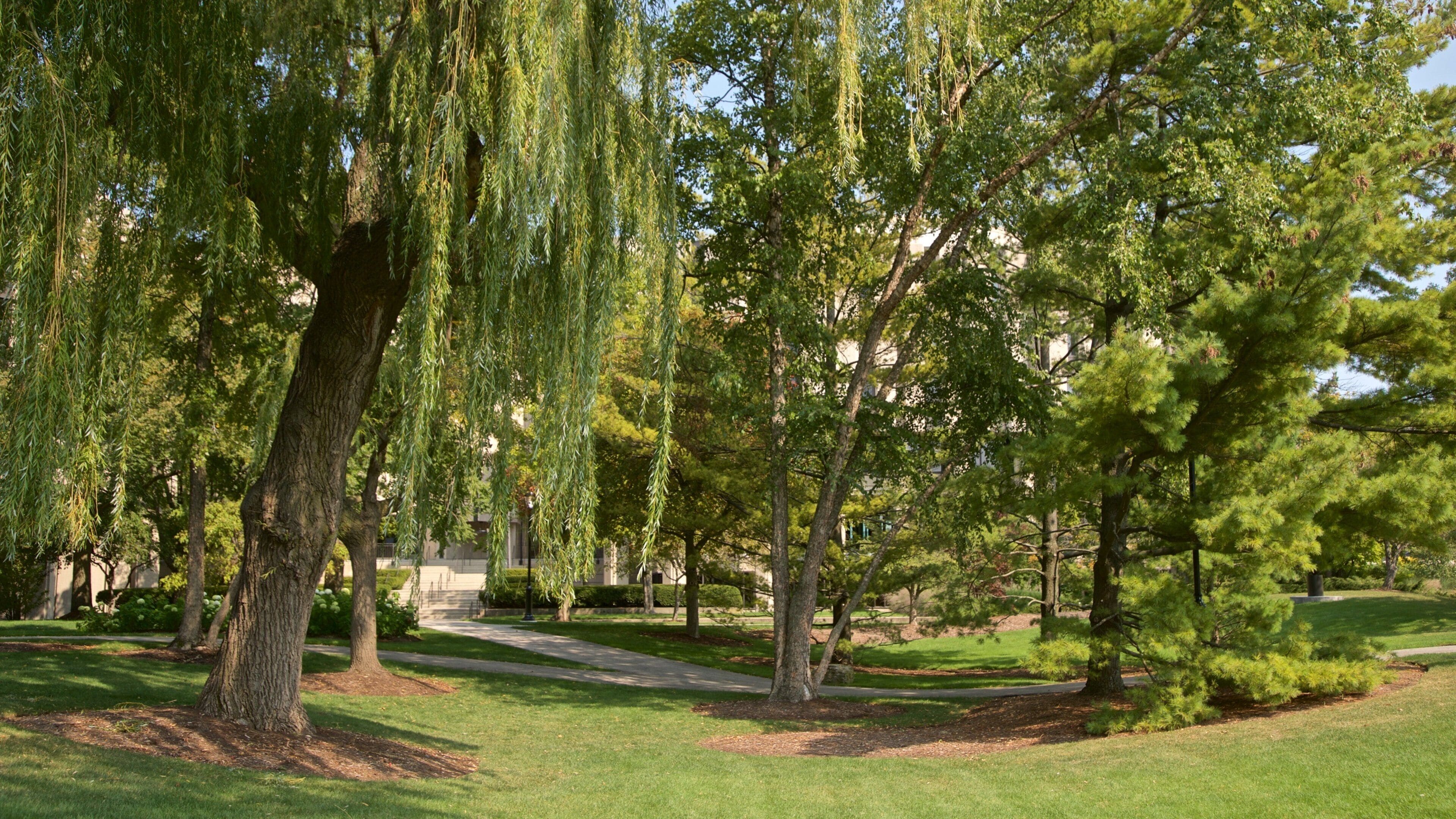Mary and Leigh Block Museum of Art