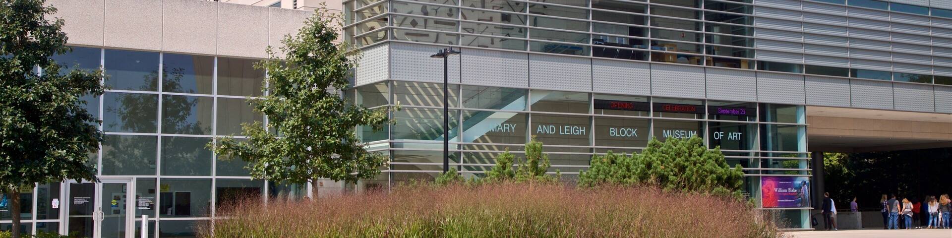 Mary and Leigh Block Museum of Art which includes wild flowers