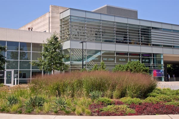 Mary and Leigh Block Museum of Art which includes wild flowers