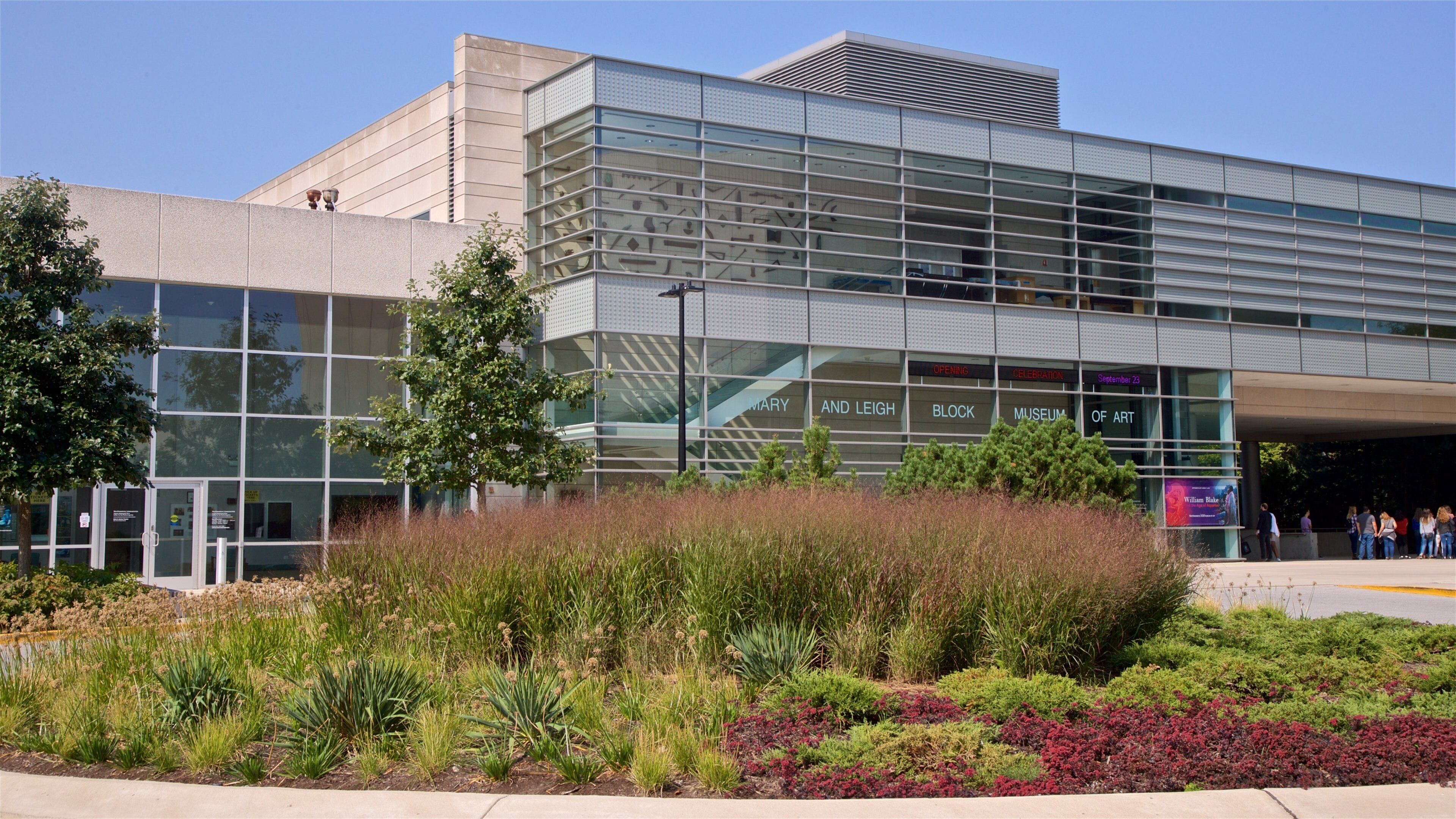 Mary and Leigh Block Museum of Art featuring wild flowers