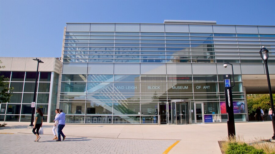 Mary and Leigh Block Museum of Art y también un pequeño grupo de personas