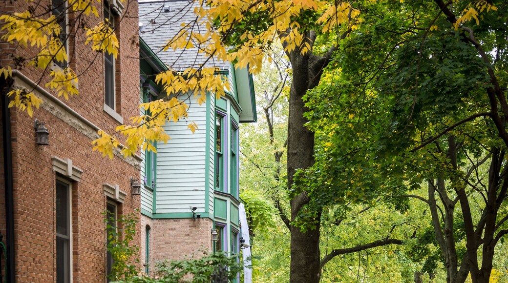 Wicker Park Historic District, a residential neighbourhood, Chicago, Illinois, USA